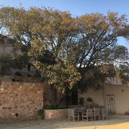 Torres De Selma - Eco Resort El Pla de Manlleu Екстер'єр фото