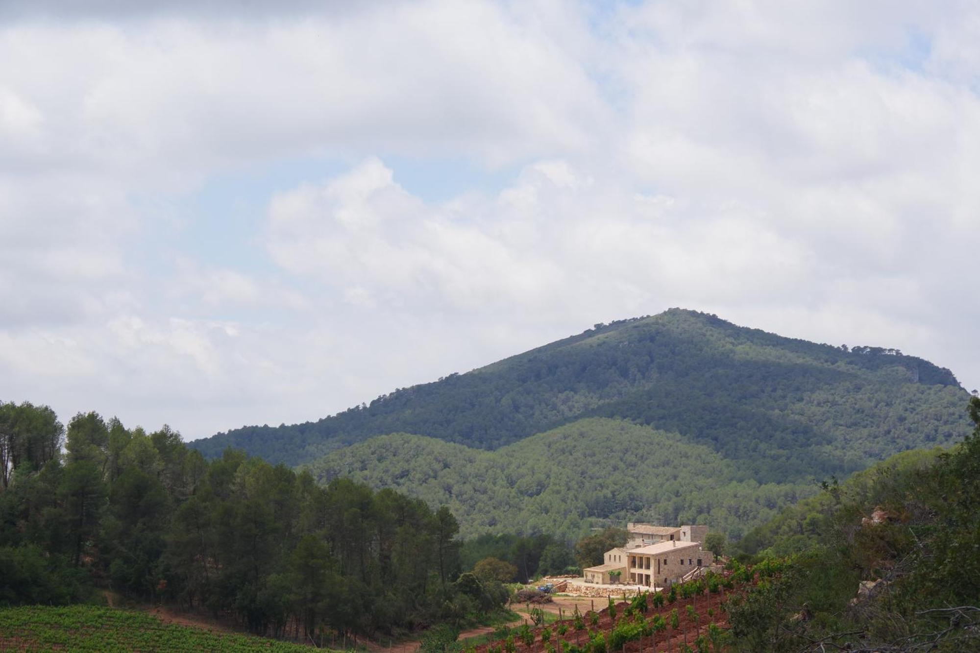 Torres De Selma - Eco Resort El Pla de Manlleu Екстер'єр фото