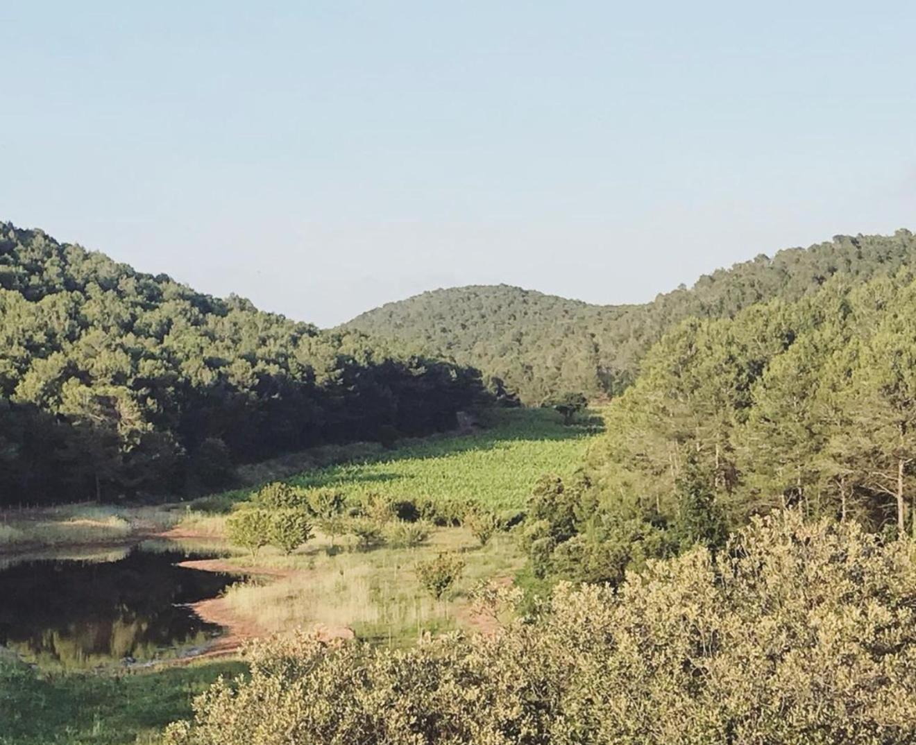 Torres De Selma - Eco Resort El Pla de Manlleu Екстер'єр фото